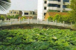 绣林