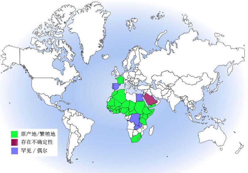 黑白兀鹫分布图