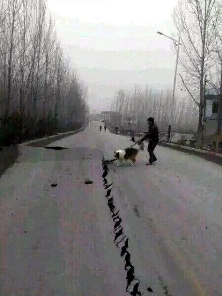 最新山东地震情况 0