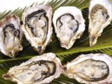 生牡蛎 搜狗百科 生牡蛎 搜狗百科