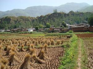 白泥村田园山村