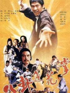 八卦莲花掌海报