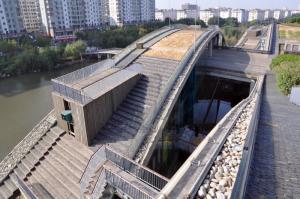青浦图书馆屋顶花园