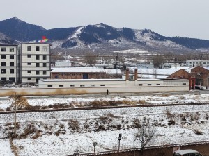 雪景