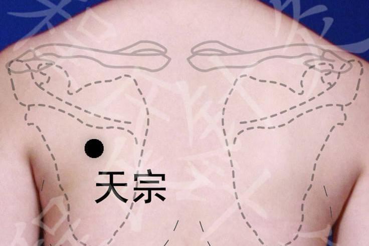 天宗穴_搜狗百科