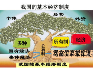 基本经济制度
