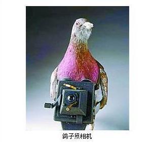 展品：鸽子照相机