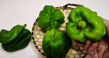 青椒