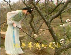 87版《红楼梦》黛玉葬花剧照