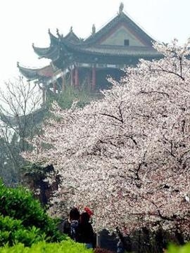 晴川阁