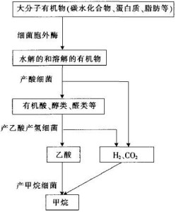 厌氧生物处理技术与好氧生物处理技术相比有 哪些优缺点