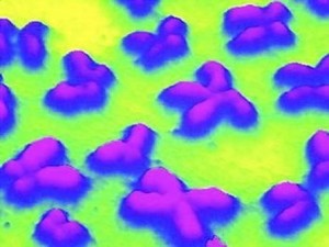 人类基因组计划