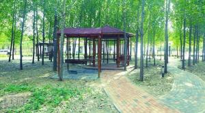 杨柳青森林公园