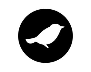 三顿半logo是什么鸟图片