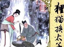 狸猫换太子