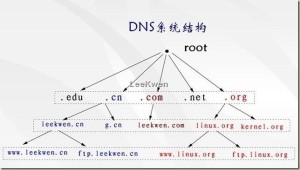 dns网速测试