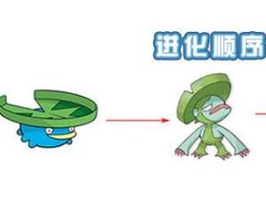 进化过程