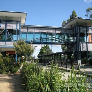 格里菲斯大学