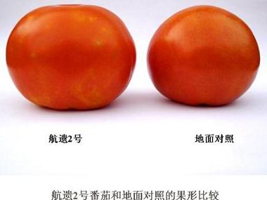 太空蔬菜