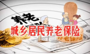 城乡居民社会养老保险