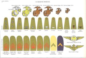 二战美国海军陆战队军衔