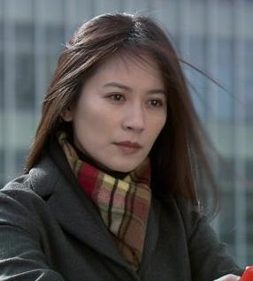 珊莉,是电视剧《男人帮》中的角色,是一个四十岁左右的优雅漂亮的女人