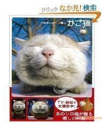 《篮子猫 日本一憨脸》
