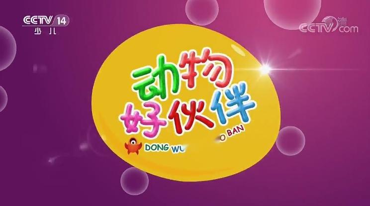 动物好伙伴