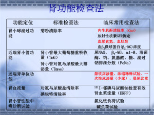 肾功能