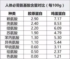 人体必需氨基酸