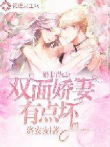 短剧双面娇妻全集免费观看，揭秘剧情魅力，双面娇妻全集免费观看，揭秘剧情魅力与角色双面人生