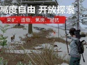 明日之后