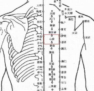 心俞穴