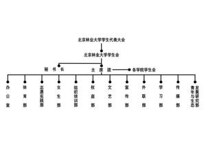北京林业大学学生会组织结构