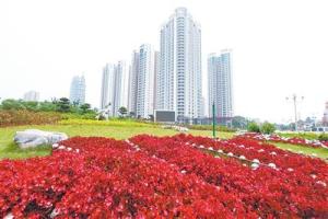 城市风光