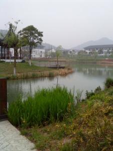 校园内景