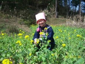 6月6节日盛装