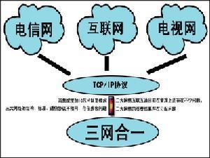 信息消费
