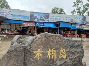 金三角