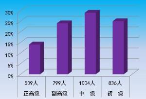企业规模