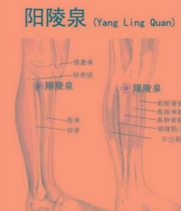 阳陵泉