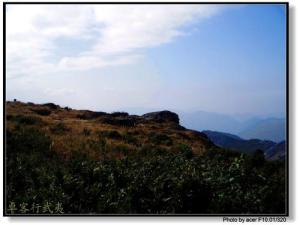 小种红茶产地--武夷山