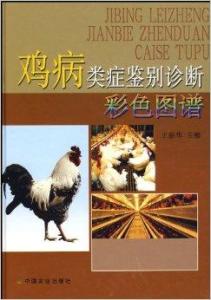 怎么判断是什么类型的分手 300