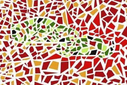 红绿色盲 遗传病 搜狗百科