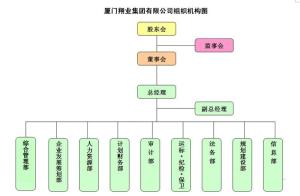 厦门翔业集团有限公司组织机构图