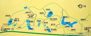 放牛坪地图