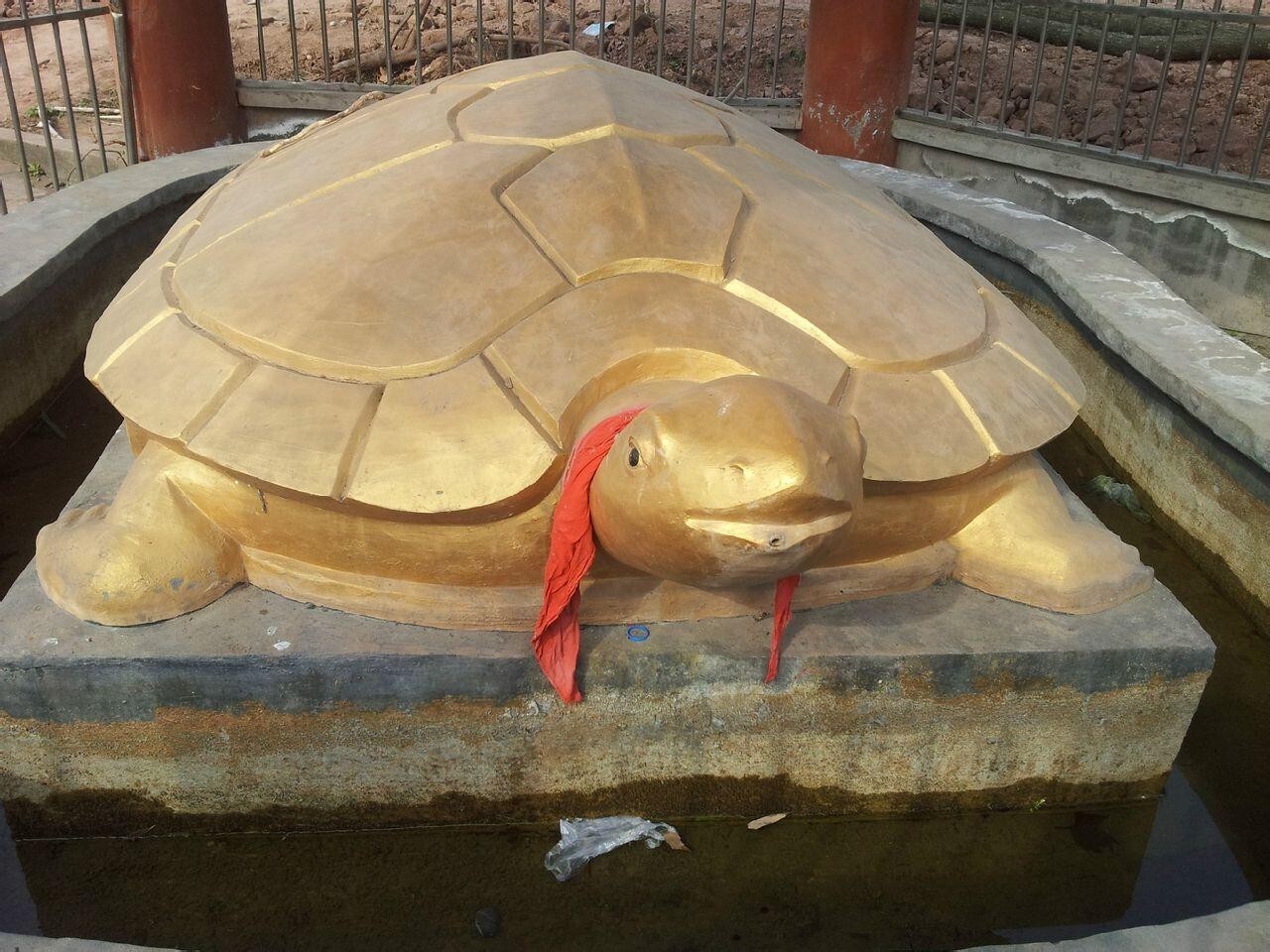 金龟驮僧