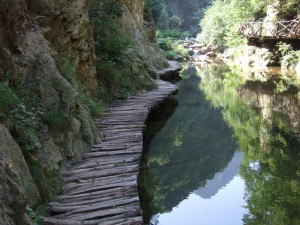 栾川县养子沟