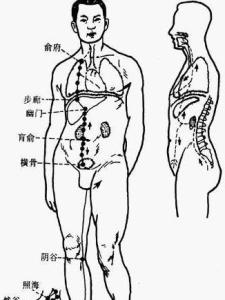 足少阴肾经