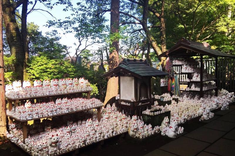 豪德寺 搜狗百科